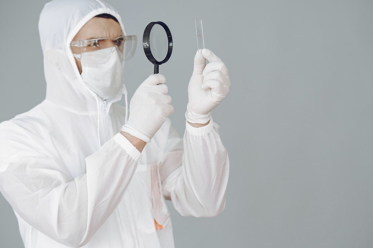 inspecciones de sanidad 