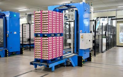 Quina Maquinària Productiva es fa servir a la Indústria Alimentària?