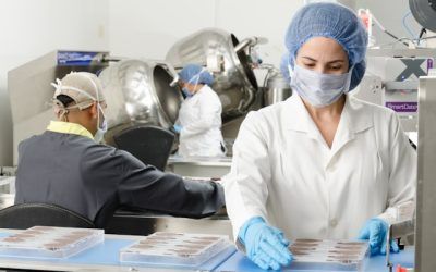 Gestió de Crisis Alimentàries: Preparació i Resposta Eficaç
