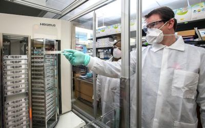 El paper fonamental dels Tecnòlegs Alimentaris