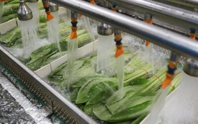 Manteniment d’instal·lacions i equips a la indústria alimentaria