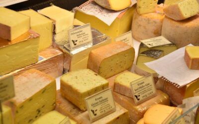 TOT el que has de saber sobre els Aliments Fermentats