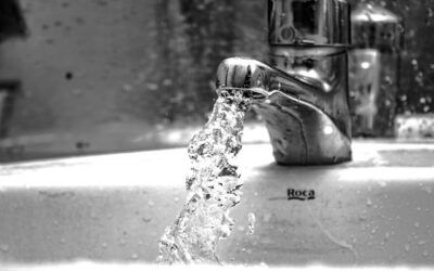 Control de l’Aigua i del Gel com a Prerequisit essencial a l’APPCC