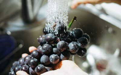 Quins Aliments NO s’han de rentar abans de consumir-los?