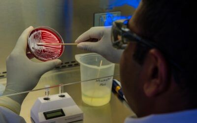 Els 10 Bacteris més freqüents en Intoxicacions Alimentàries