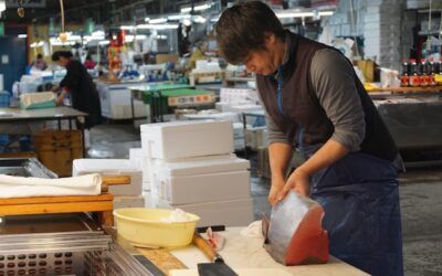 Errors comuns al Control de Qualitat dels Aliments