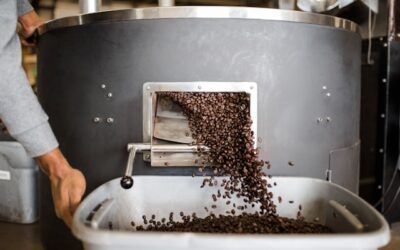 Què és el Codex Alimentarius i per a què serveix?