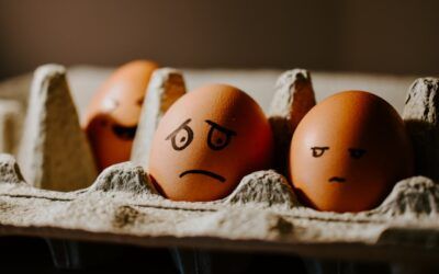 TOT el que has de saber sobre el Mood Food