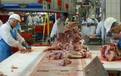 Seguretat Alimentària a les màquines Talladores d’Embotit