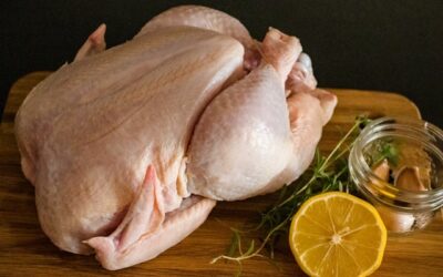 Nombre y definición de las partes de un Pollo